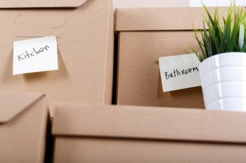Insurance & Packing Tips in Mountain View, CA